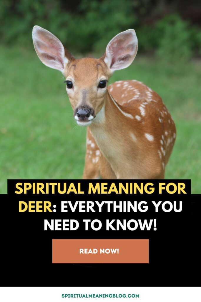 Spiritual Meaning Of Seeing A Buck Deer at Lara Frary blog