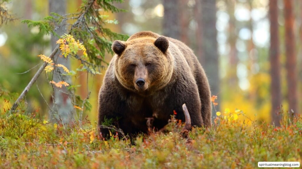 Spiritual Meaning of Bear: Guardians of the Spirit Realm